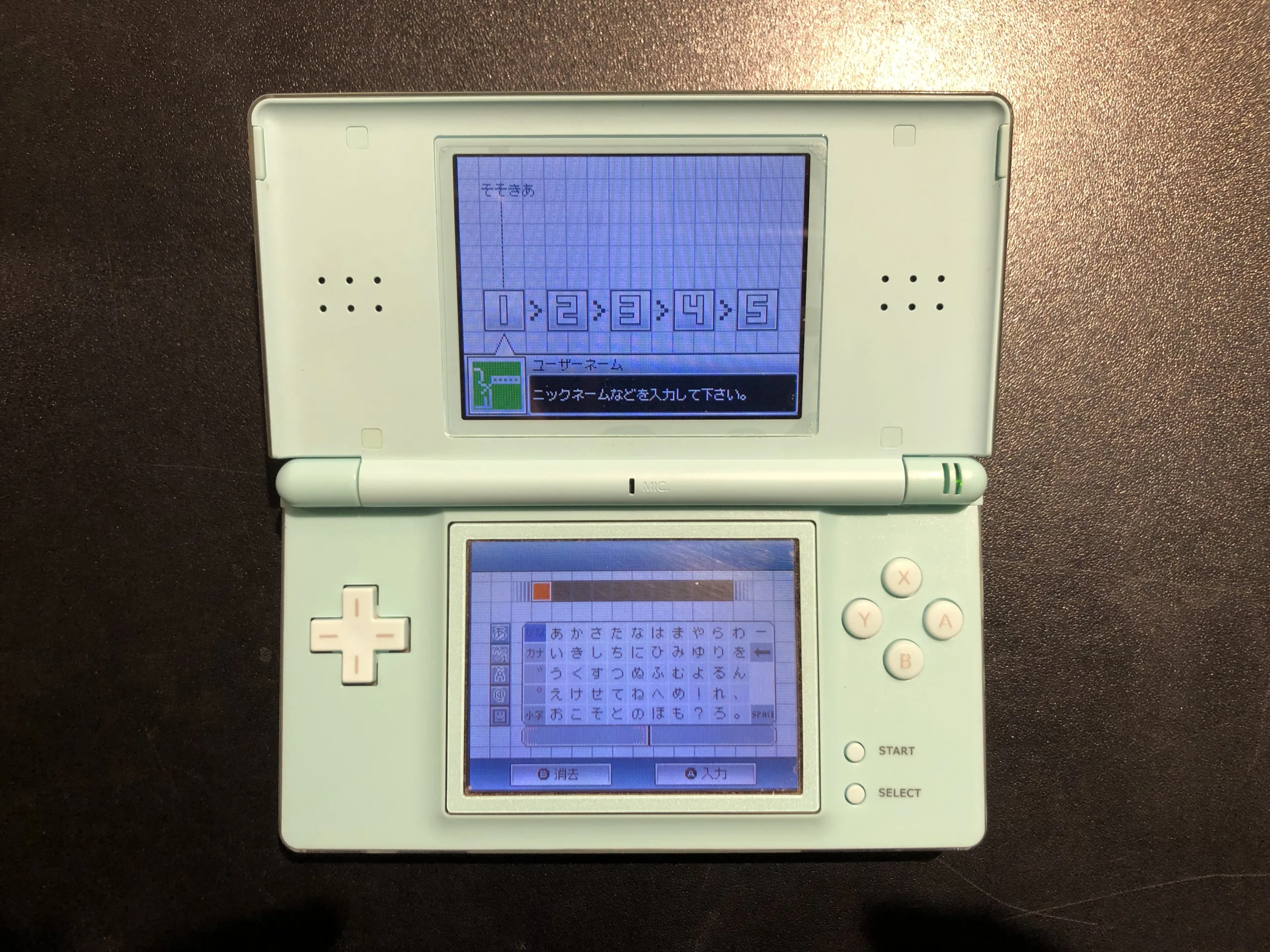 ニンテンドーDS Lite　カバー交換